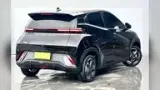 BYD Dolphin - Miniatura 4