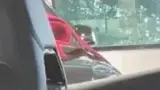BYD Dolphin Mini - Miniatura 10