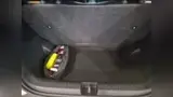 BYD Dolphin Mini - Miniatura 11