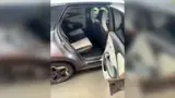 BYD Dolphin Mini - Miniatura 6