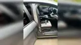 BYD Dolphin Mini - Miniatura 7