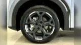 BYD Dolphin Mini - Miniatura 6