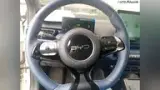BYD Dolphin Mini - Miniatura 8