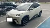 BYD Dolphin Mini - Miniatura 4