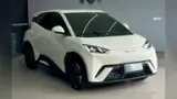 BYD Dolphin Mini - Miniatura 1