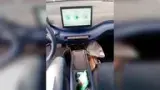 BYD Dolphin Mini - Miniatura 8