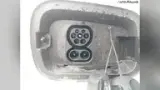 BYD Dolphin Mini - Miniatura 13