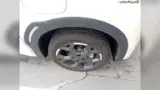 BYD Dolphin Mini - Miniatura 15