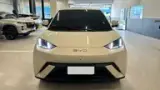 BYD Dolphin Mini - Miniatura 1