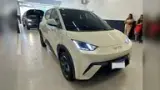 BYD Dolphin Mini - Miniatura 2
