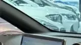 BYD Dolphin - Miniatura 11