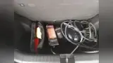 BYD Dolphin Mini - Miniatura 15