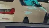 BYD Dolphin Mini - Miniatura 4