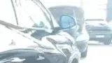BYD Dolphin Mini - Miniatura 2