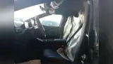 BYD Dolphin Mini - Miniatura 6