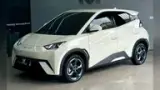 BYD Dolphin Mini - Miniatura 1