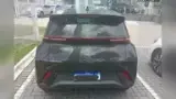 BYD Dolphin Mini - Miniatura 6