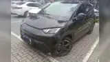 BYD Dolphin Mini - Miniatura 2
