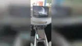 BYD Dolphin Mini - Miniatura 5
