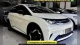 BYD Dolphin - Miniatura 1