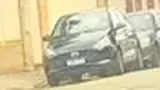 BYD Dolphin Mini - Miniatura 4