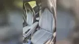 BYD Dolphin Mini - Miniatura 7