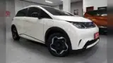 BYD Dolphin - Miniatura 2