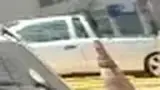 BYD Dolphin Mini - Miniatura 4