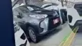 BYD Dolphin Mini - Miniatura 6