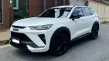 GWM Haval H6 Plug-in Hybrid - Miniatura 1
