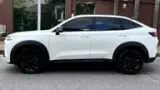 GWM Haval H6 Plug-in Hybrid - Miniatura 9