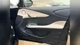BYD Dolphin - Miniatura 9