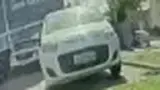 BYD Dolphin Mini - Miniatura 12