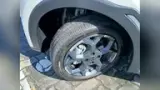 BYD Dolphin Mini - Miniatura 18