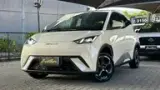 BYD Dolphin Mini - Miniatura 1