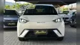 BYD Dolphin Mini - Miniatura 2