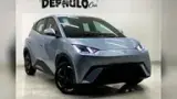 BYD Dolphin Mini - Miniatura 1