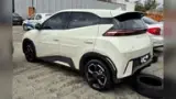 BYD Dolphin Mini - Miniatura 4