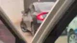 BYD Dolphin Mini - Miniatura 5