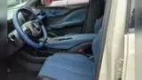 BYD Dolphin Mini - Miniatura 10