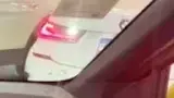 BYD Dolphin Mini - Miniatura 8