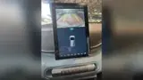 BYD Dolphin Mini - Miniatura 14