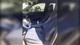 BYD Dolphin Mini - Miniatura 4