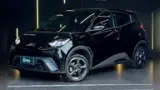 BYD Dolphin Mini - Miniatura 1