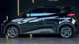 BYD Dolphin Mini - Miniatura 3