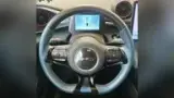 BYD Dolphin Mini - Miniatura 7