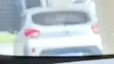 BYD Dolphin Mini - Miniatura 5