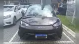 BYD Dolphin Mini - Miniatura 1