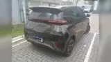 BYD Dolphin Mini - Miniatura 2