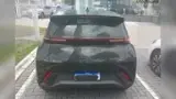 BYD Dolphin Mini - Miniatura 6